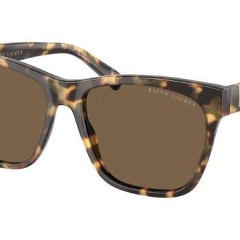 Ralph Lauren The Ricky II RL8212 500473 ONE SIZE (57) Havana Férfi Napszemüvegek kép