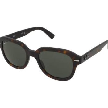 Ray-Ban Erik RB4398 902/31 kép
