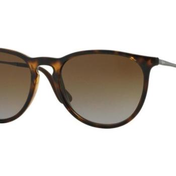 Ray-Ban Erika Classic Havana Collection RB4171 710/T5 Polarized ONE SIZE (54) Havana Unisex Napszemüvegek kép