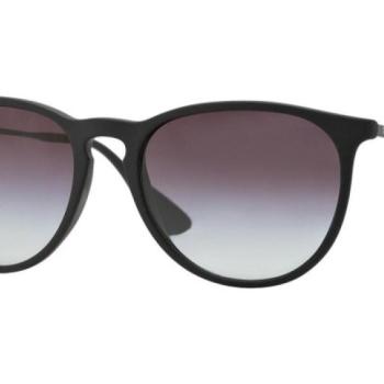 Ray-Ban Erika Classic RB4171 622/8G ONE SIZE (54) Fekete Unisex Napszemüvegek kép