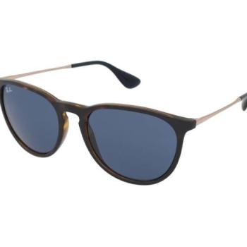 Ray-Ban Erika Color Mix RB4171 639080 kép