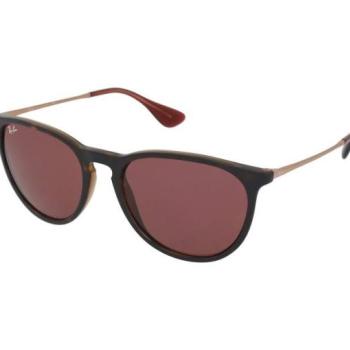 Ray-Ban Erika RB4171 639175 kép