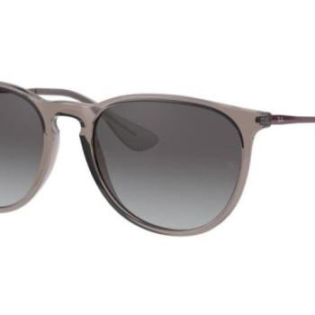 Ray-Ban Erika RB4171 65138G ONE SIZE (54) Szürke Unisex Napszemüvegek kép