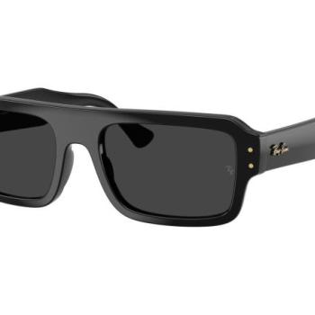 Ray-Ban Flacko RB4454 667748 Polarized M (53) Fekete Unisex Napszemüvegek kép