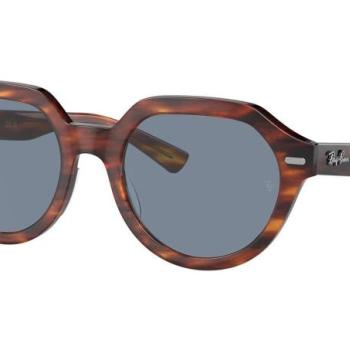 Ray-Ban Gina RB4399 954/62 L (53) Havana Unisex Napszemüvegek kép