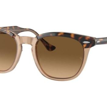 Ray-Ban Hawkeye RB2298 1292M2 Polarized L (52) Havana Unisex Napszemüvegek kép