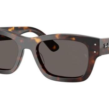 Ray-Ban Joseph RB7683S 902/B1 ONE SIZE (55) Havana Unisex Napszemüvegek kép