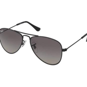 Ray-Ban Junior Aviator RJ9506S 220/11 kép