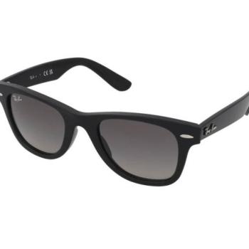 Ray-Ban Junior Wayfarer RJ9066S 100/11 kép