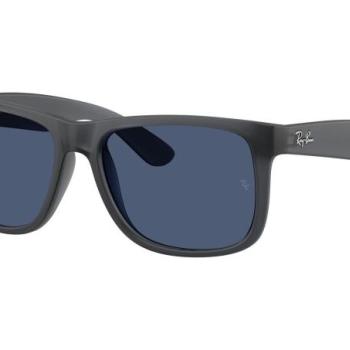 Ray-Ban Justin RB4165 687380 M (54) Szürke Női Napszemüvegek kép