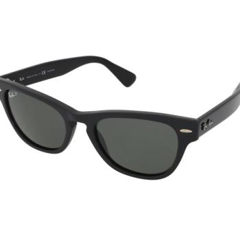 Ray-Ban Laramie RB2201 901/58 kép