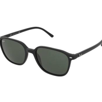 Ray-Ban Leonard RB2193 901/31 kép