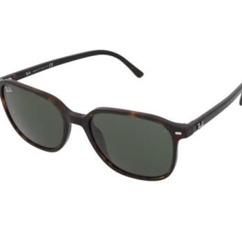 Ray-Ban Leonard RB2193 902/31 kép
