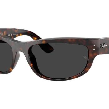 Ray-Ban Mega Balorama RB2289 902/48 Polarized L (63) Havana Unisex Napszemüvegek kép