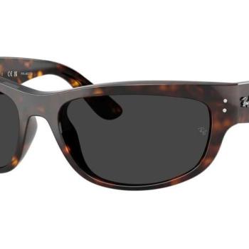 Ray-Ban Mega Balorama RB2289 902/48 Polarized M (60) Havana Unisex Napszemüvegek kép