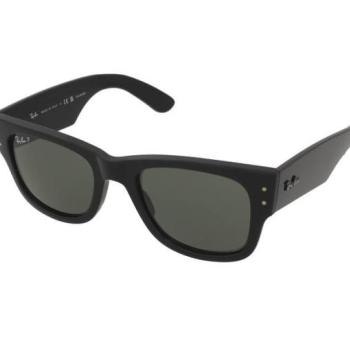 Ray-Ban Mega Wayfarer RB0840S 901/58 kép