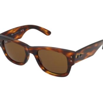 Ray-Ban Mega Wayfarer RB0840S 954/33 kép