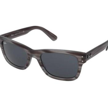 Ray-Ban Mr Burbank RB2283 1314R5 kép