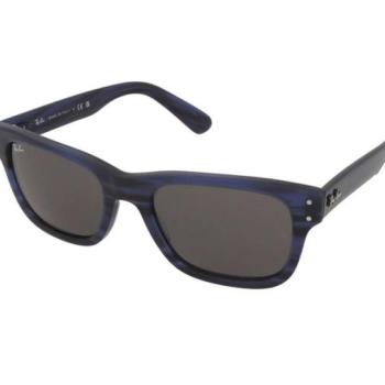 Ray-Ban Mr Burbank RB2283 1339/B1 kép