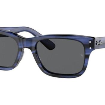 Ray-Ban Mr Burbank RB2283 1339B1 S (52) Kék Női Napszemüvegek kép