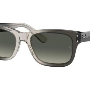 Ray-Ban Mr Burbank RB2283 134071 M (55) Szürke Női Napszemüvegek kép