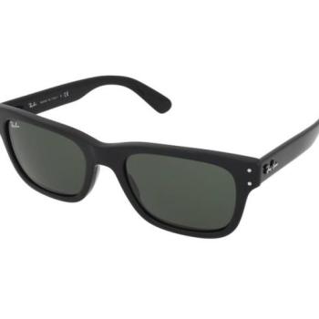 Ray-Ban Mr Burbank RB2283 901/31 kép