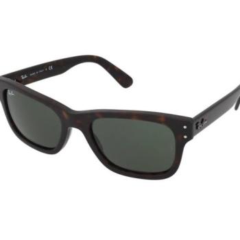 Ray-Ban Mr Burbank RB2283 902/31 kép
