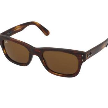 Ray-Ban Mr Burbank RB2283 954/33 kép