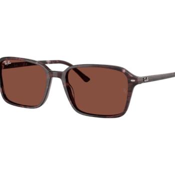 Ray-Ban Raimond RB2231 1416C5 kép