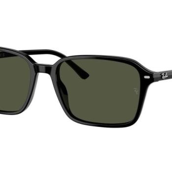 Ray-Ban Raimond RB2231 901/31 M (56) Fekete Unisex Napszemüvegek kép