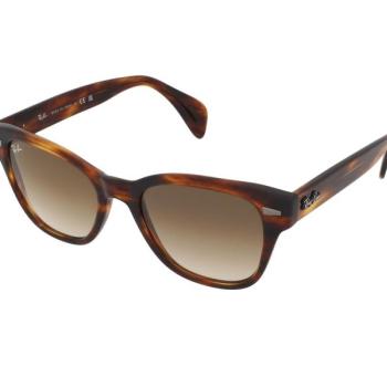 Ray-Ban RB0880S 954/51 kép