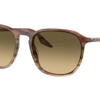 Ray-Ban RB2203 13920A M (52) Barna Unisex Napszemüvegek kép