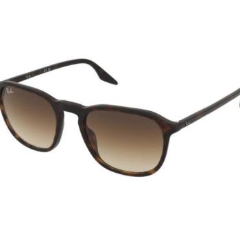 Ray-Ban RB2203 902/51 kép