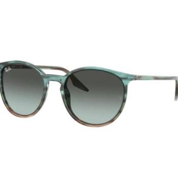 Ray-Ban RB2204 1394GK kép