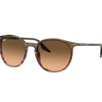 Ray-Ban RB2204 13953B kép