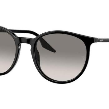 Ray-Ban RB2204 901/32 L (54) Fekete Unisex Napszemüvegek kép