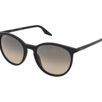 Ray-Ban RB2204 901/32 kép