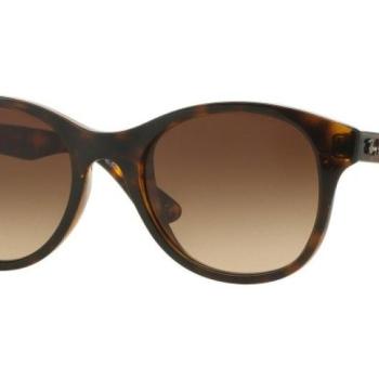 Ray-Ban RB4203 710/13 ONE SIZE (51) Havana Unisex Napszemüvegek kép