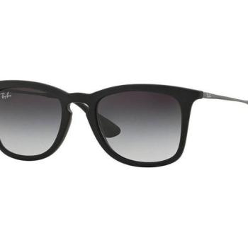 Ray-Ban RB4221 622/8G kép