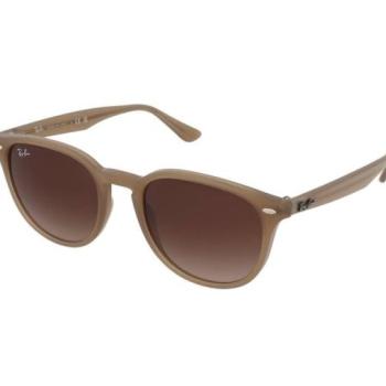 Ray-Ban RB4259 616613 kép