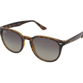 Ray-Ban RB4259 710/11 kép