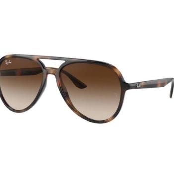 Ray-Ban RB4376 710/13 kép