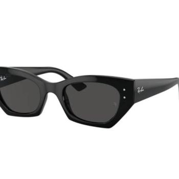 Ray-Ban RB4430 667787 kép
