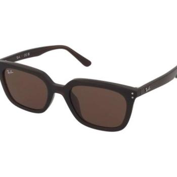 Ray-Ban RB4439D 6231/73 kép