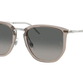 Ray-Ban RB4451 680271 L (53) Szürke Unisex Napszemüvegek kép