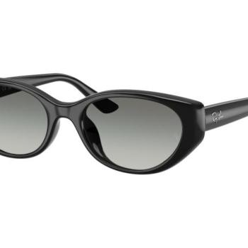 Ray-Ban RB4457D 667711 ONE SIZE (55) Fekete Unisex Napszemüvegek kép