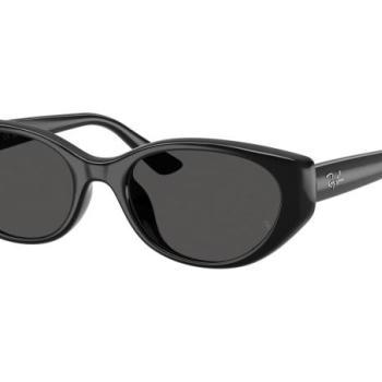 Ray-Ban RB4457D 667787 ONE SIZE (55) Fekete Unisex Napszemüvegek kép
