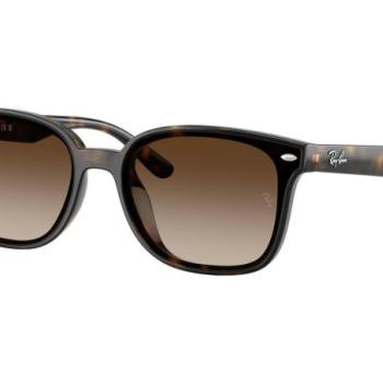 Ray-Ban RB4461D 710/13 ONE SIZE (64) Havana Unisex Napszemüvegek kép
