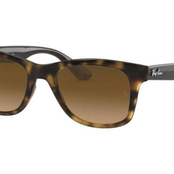 Ray-Ban RB4640 710/M2 Polarized ONE SIZE (50) Havana Unisex Napszemüvegek kép