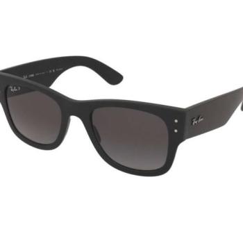 Ray-Ban RB4840S 601S/T3 kép